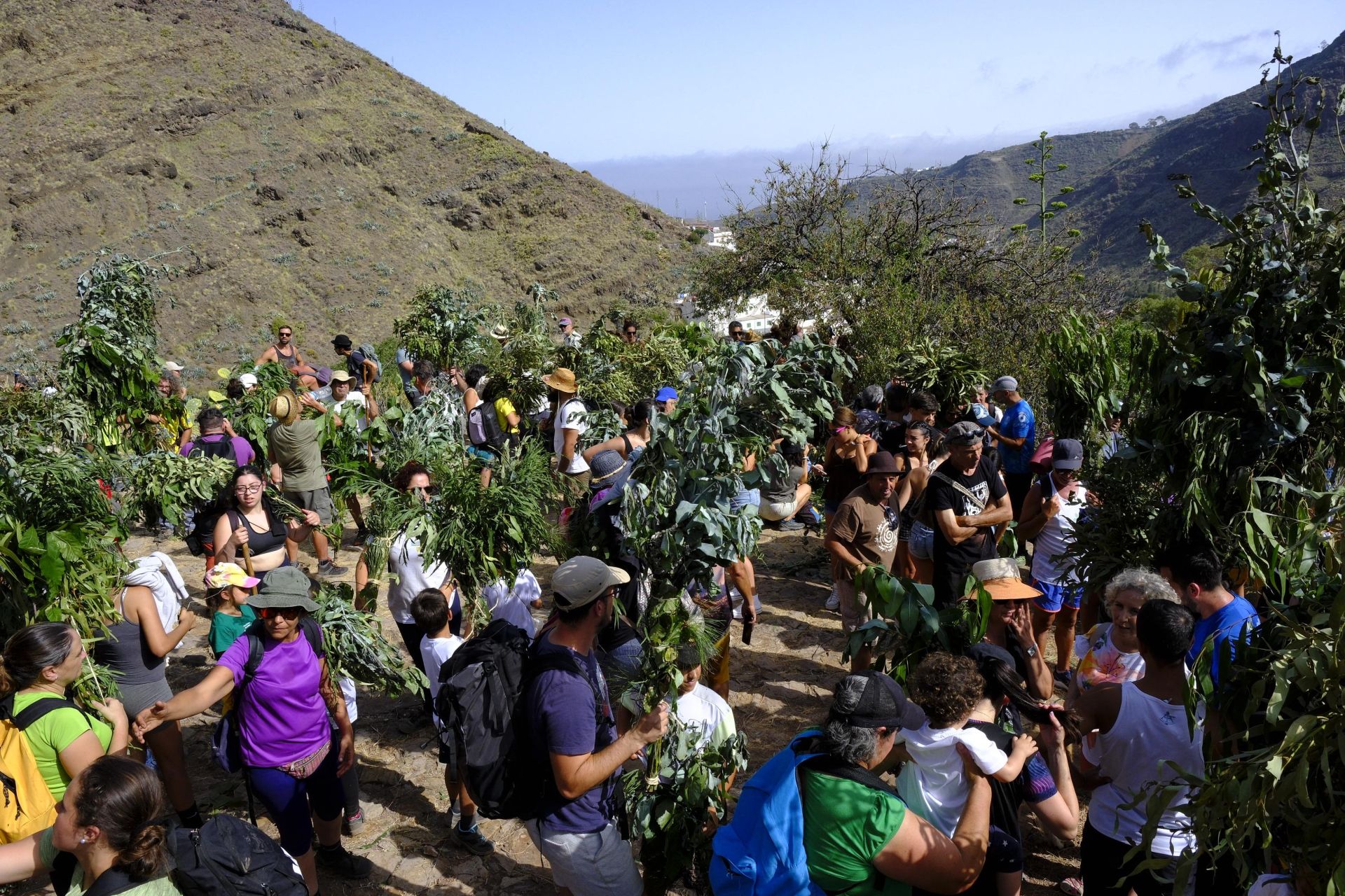 Agaete vibra con la Rama de San Pedro
