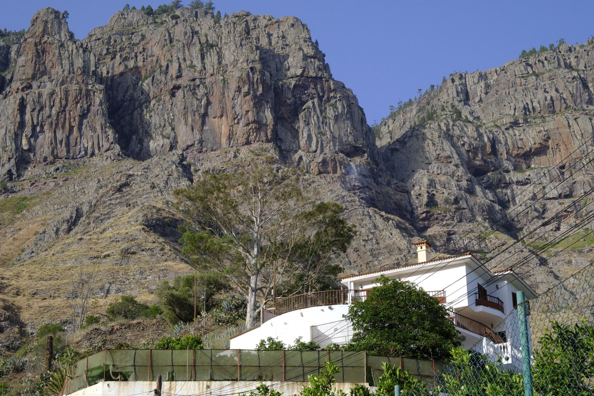 Agaete vibra con la Rama de San Pedro