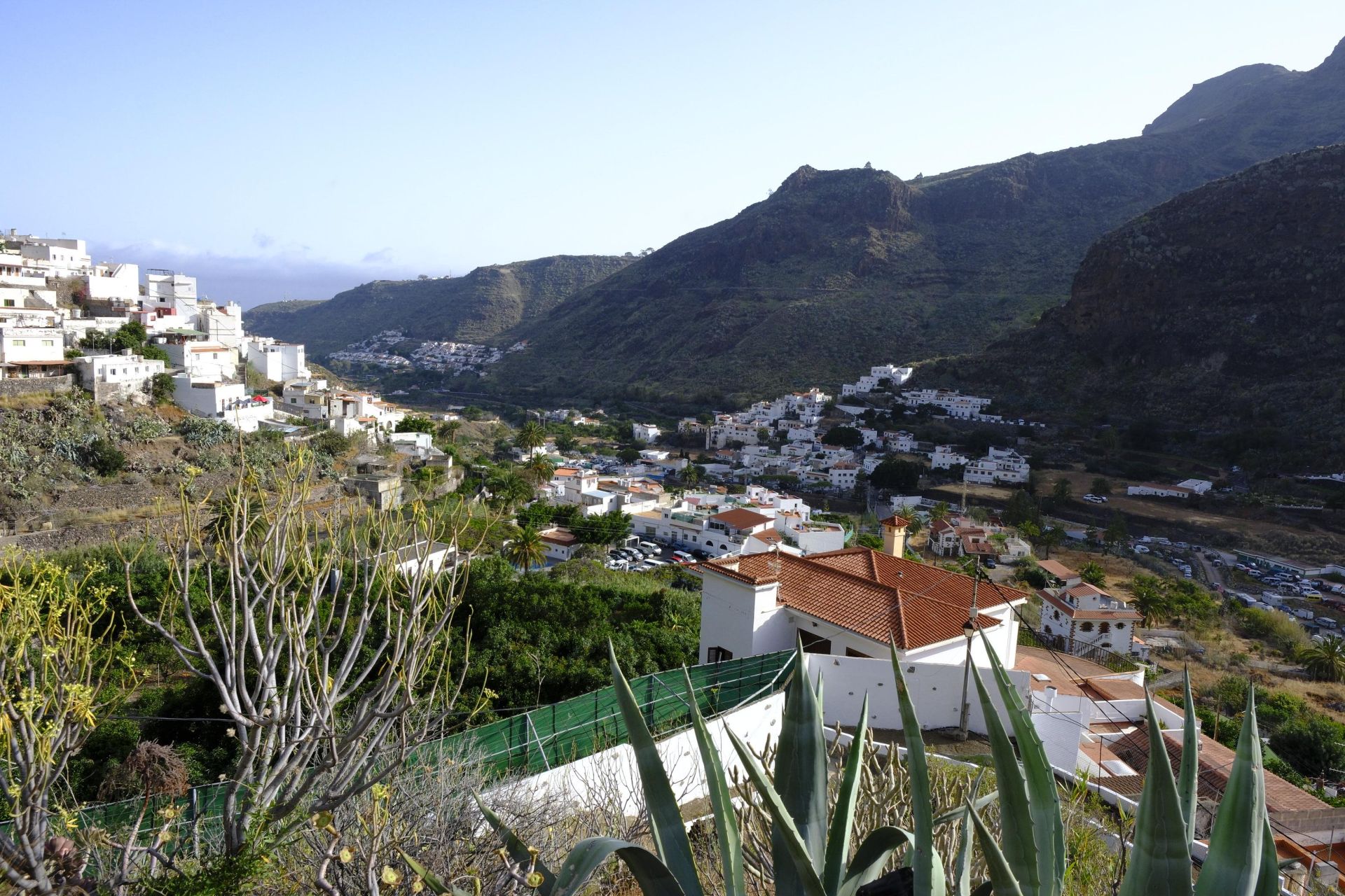 Agaete vibra con la Rama de San Pedro