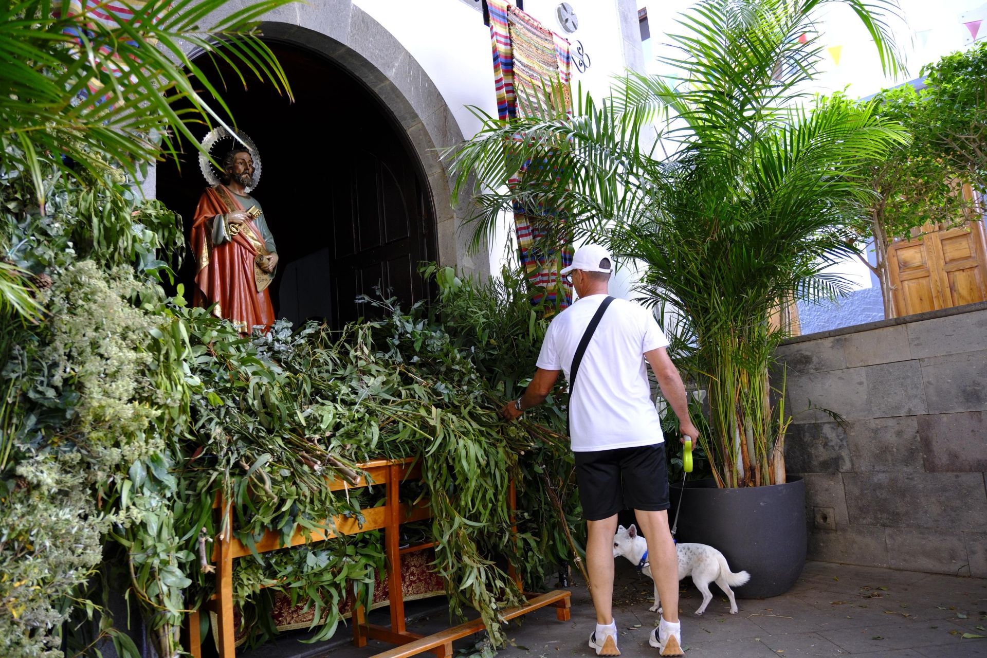 Agaete vibra con la Rama de San Pedro