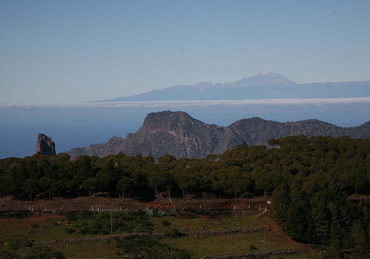 Vista de Tamadaba, con Tenerife de fondo.