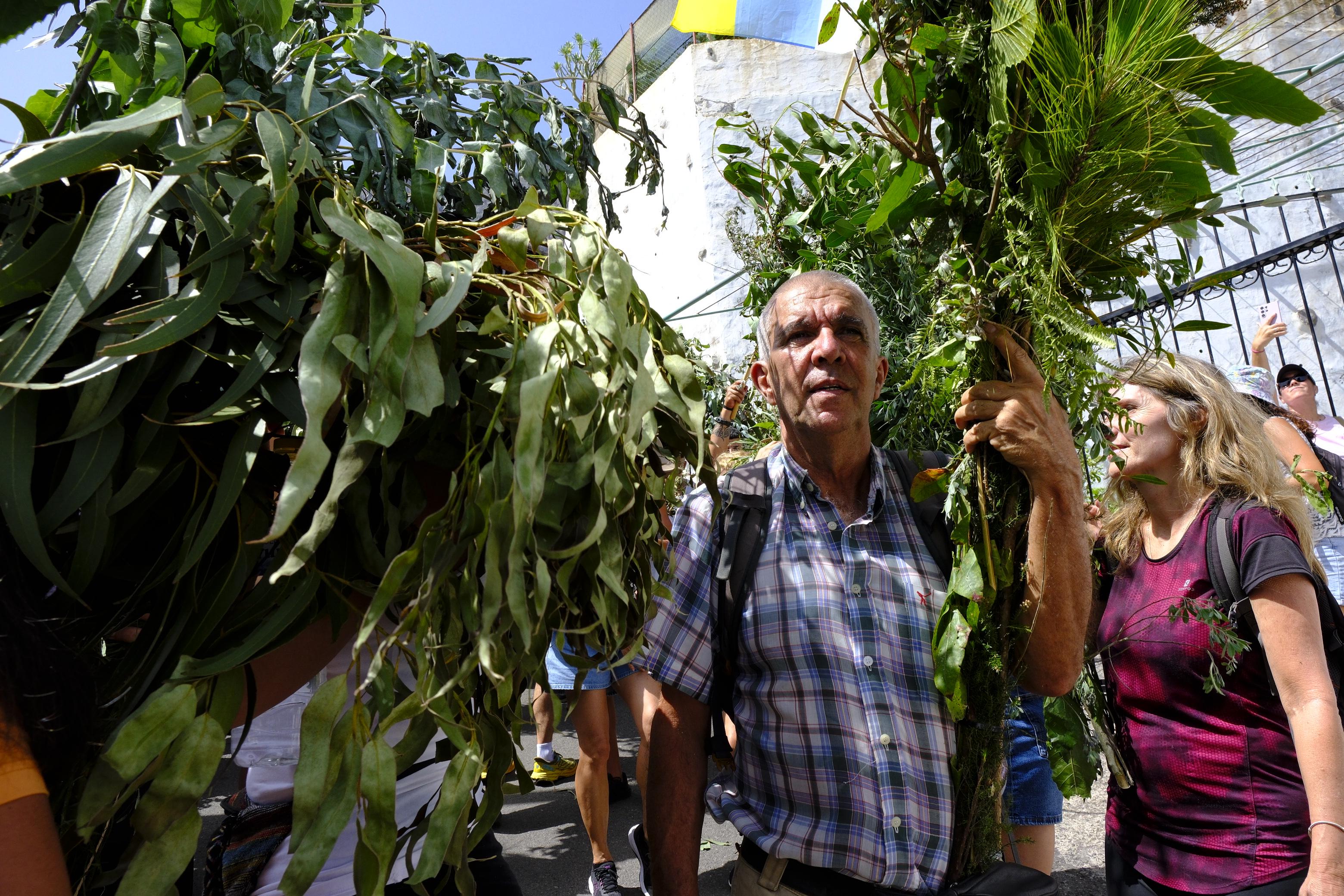 Agaete vibra con la Rama de San Pedro