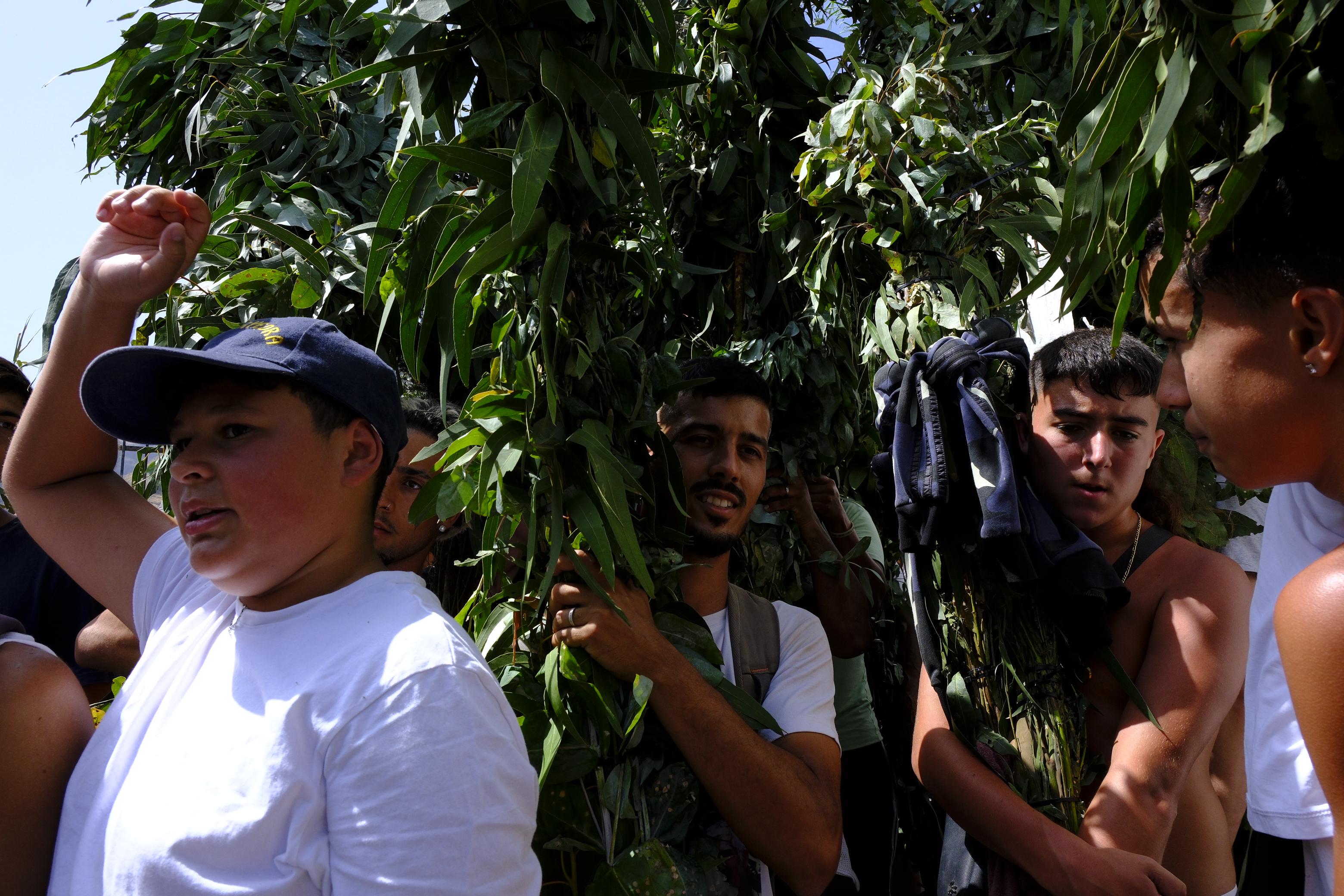 Agaete vibra con la Rama de San Pedro