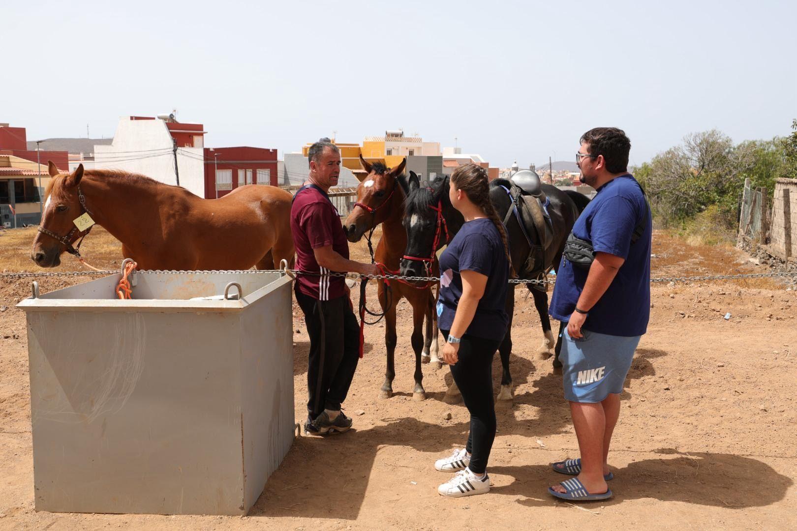Ingenio honra a San Pedro y San Pablo