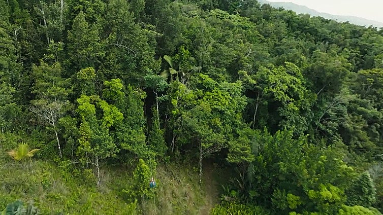 Video de la serie Crimen en el paraíso