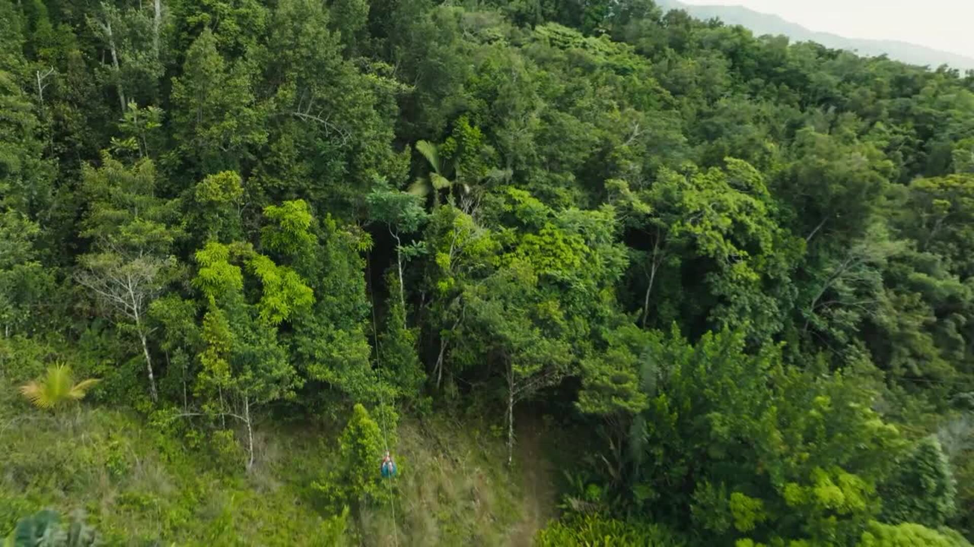 Video de la serie Crimen en el paraíso