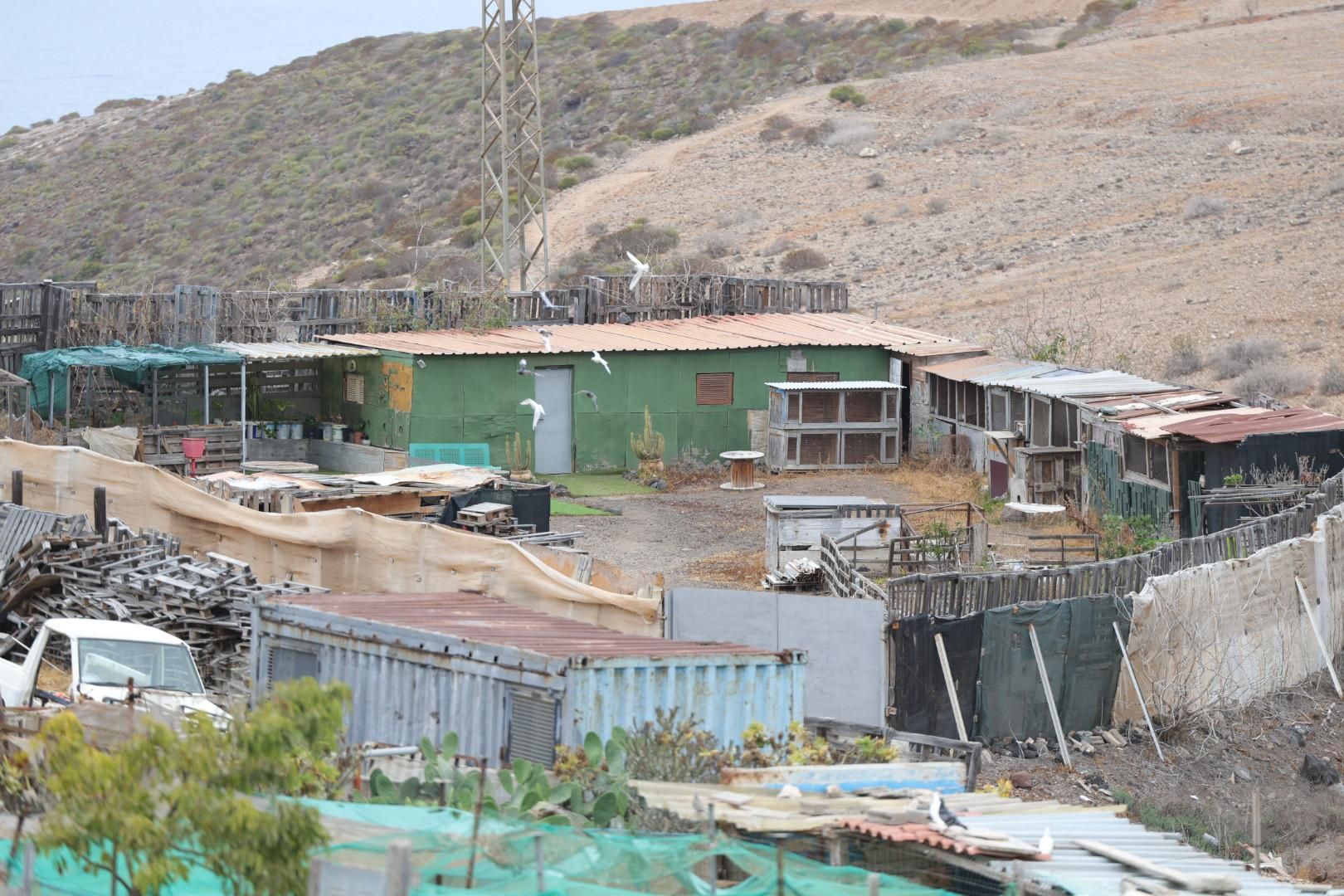 La situación de chabolismo en Ladera Alta, en imágenes