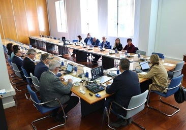 El PSOE exige un nuevo dictamen del Consejo Consultivo sobre la norma de consejos sociales de Canarias