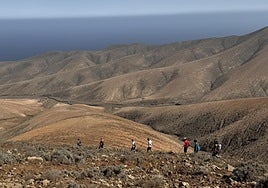 La caminata medio ambiental es el acto previo a las fiestas de San Buenaventura, en Betancuria.