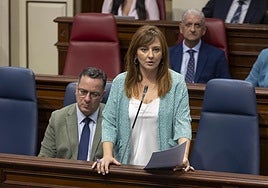 La consejera Nieves Lady Barreto, en una imagen de archivo.