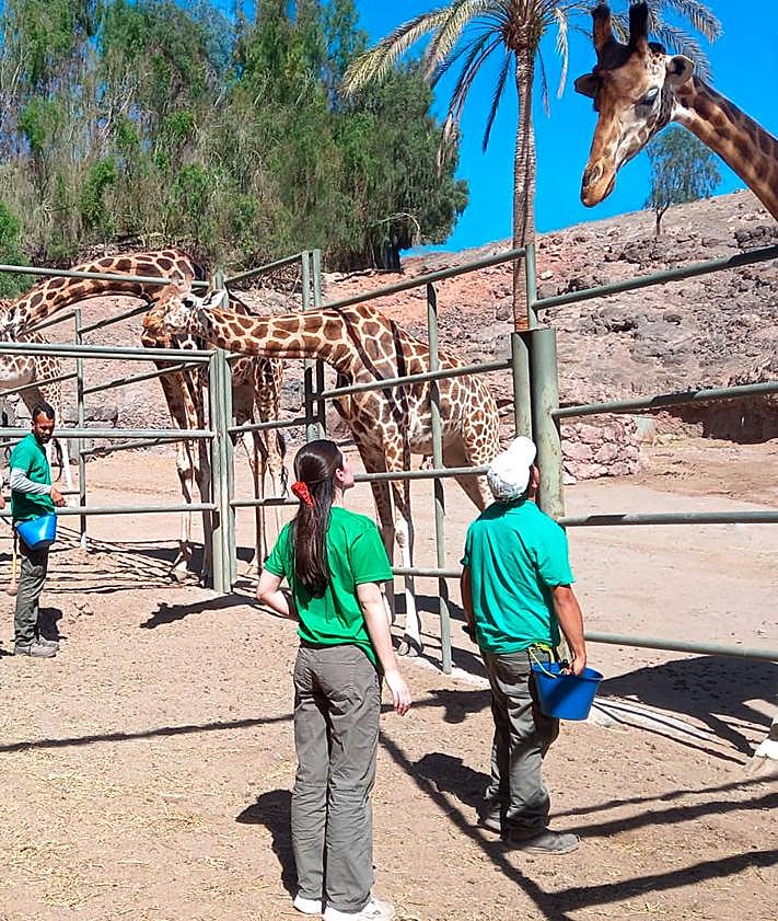 Imagen secundaria 2 - Tareas que realizan los participantes en el Oasis Wildlife. 