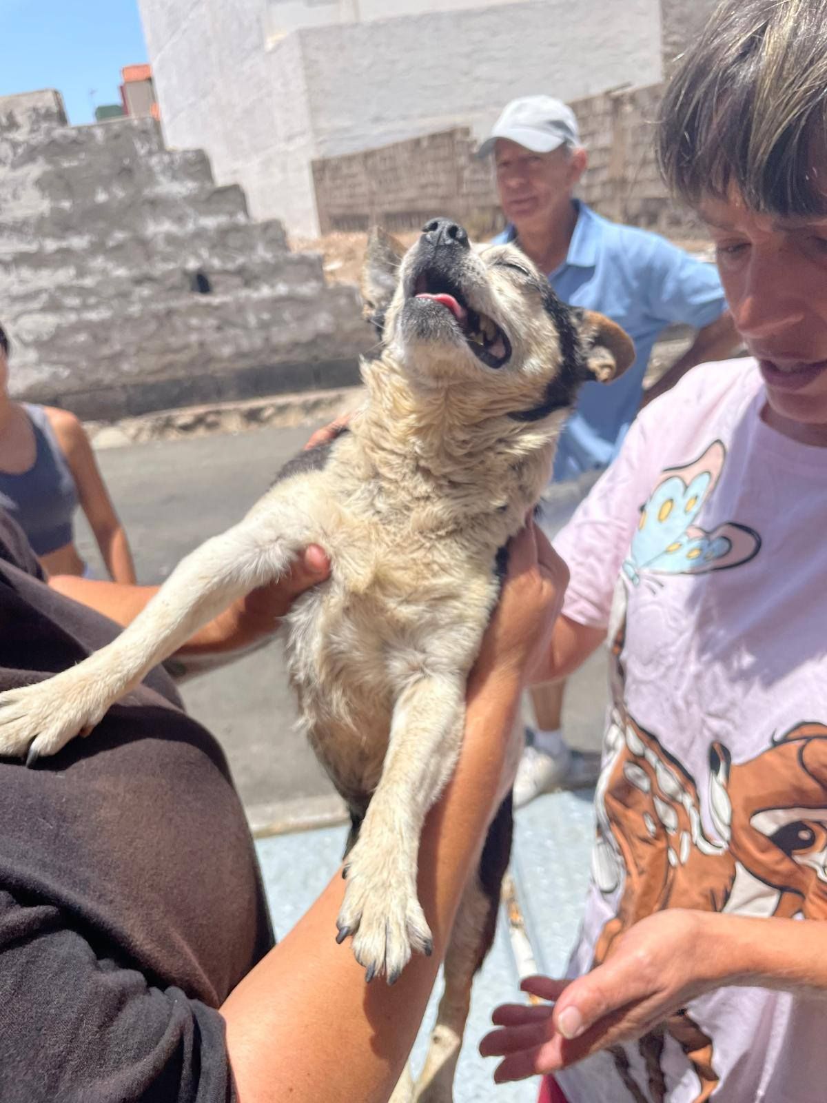 Así fue el rescate de &#039;Patuco&#039;, el perro arrojado a la basura en Vecindario: «Rogaba que no se me muriera en los brazos»