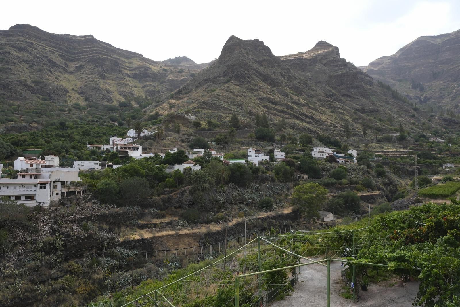 El Valle de Agaete visto desde la finca La Laja.