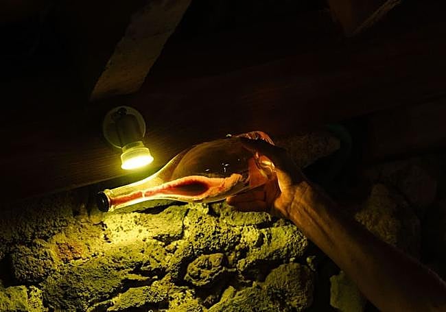 La Mesa del Chef de Canary Foodies