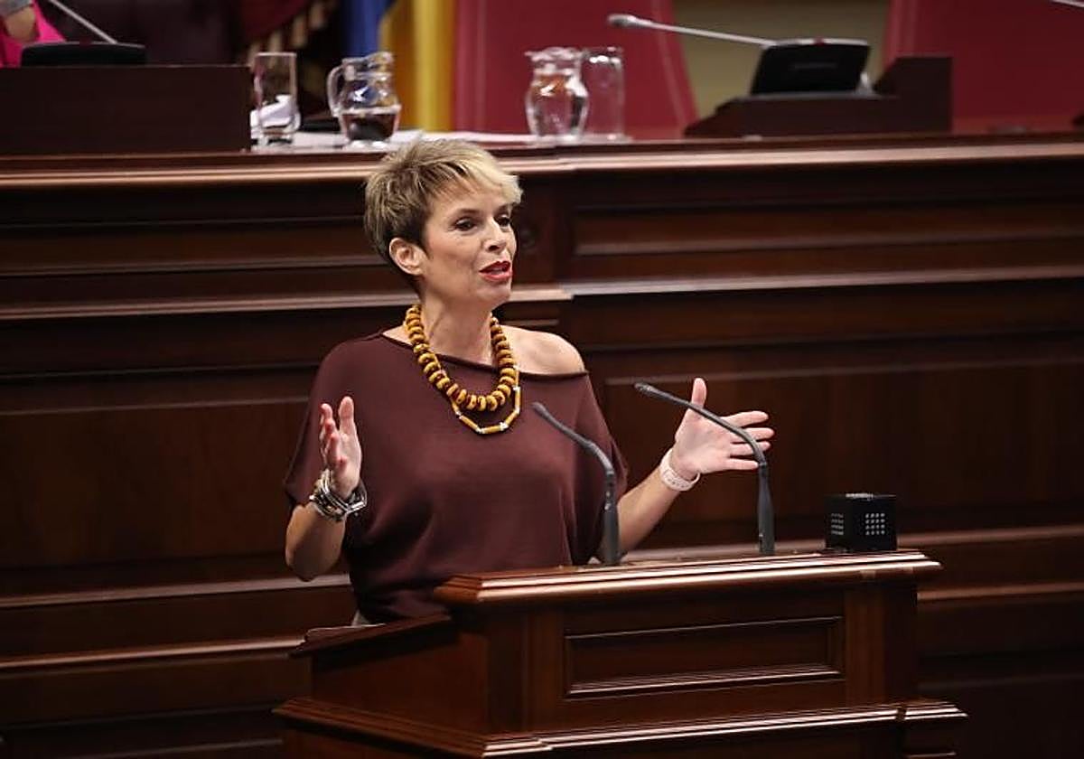 La viceportavoz del PSOE en Canarias, Elena Máñez.