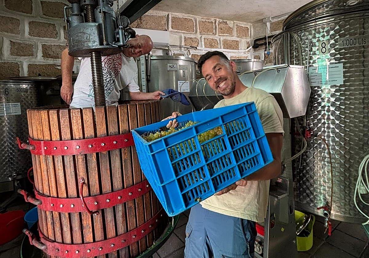 Adal Álvarez sostiene una caja de uvas blancas de la primera vendimia de Gran Canaria.