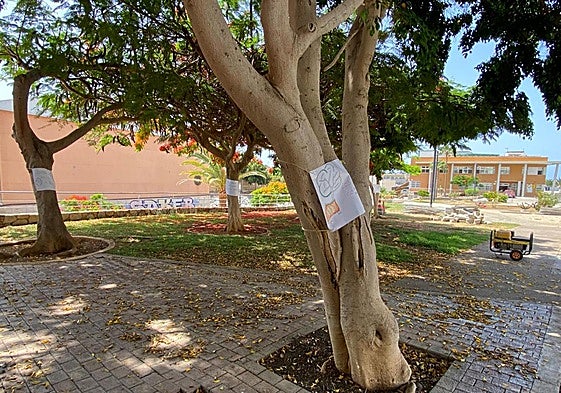 En esta zona se ubicará el futuro velatorio.