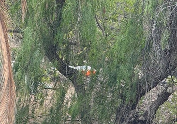 Homicidios investiga el hallazgo de un cadáver en los jardines de Paseo de Chil