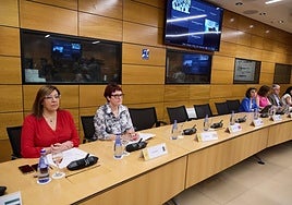 Sandra Rodríguez (i) y la consejera de Bienestar, Candelaria Delgado, en la reunión sectorial de Infancia.
