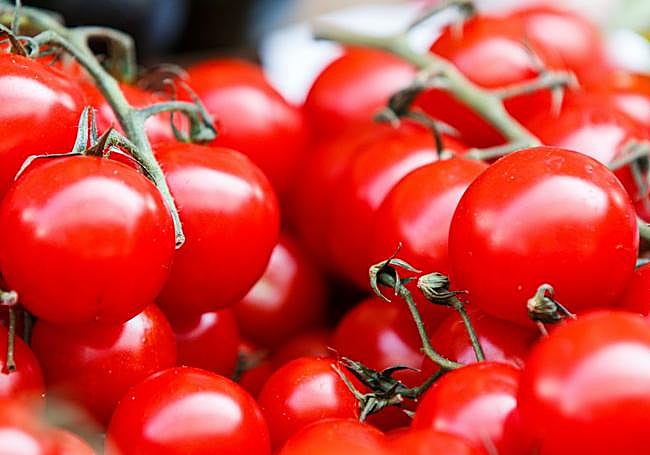 Tomates