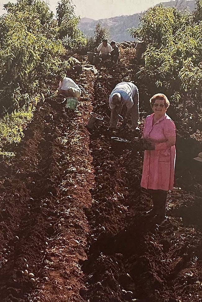 Un alto en la pisada de la uva