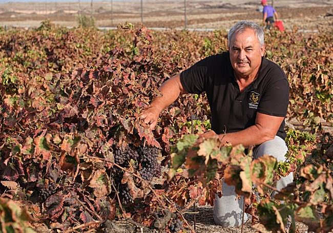 Pedro Martín, owner of Bodegas Conatvs