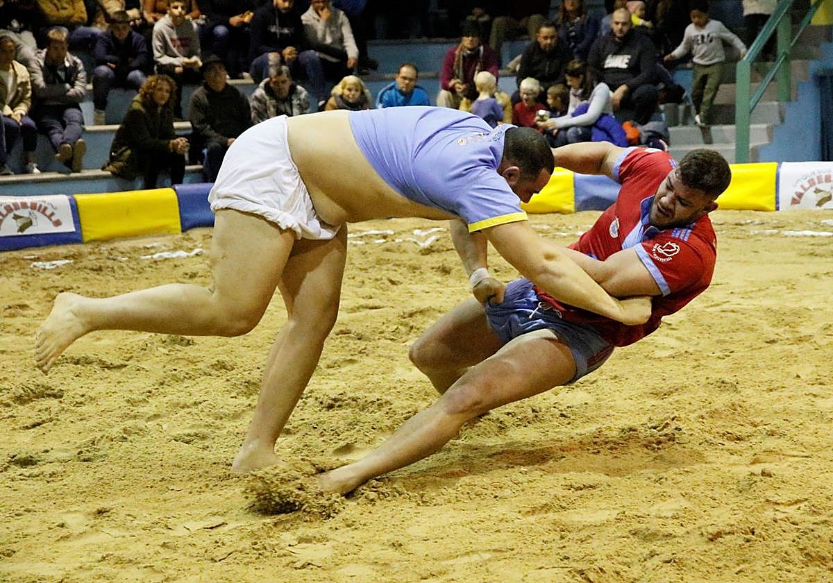 El Pollo del Callejón IV regresa a su casa ya convertido en puntal C.