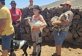 Veteranos y jóvenes participaron en el control sanitario del ganado, una vez reunido en la gambuesa del Valle de la Cueva.