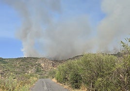 Imagen del incendio de El Tanque, Tenerife.