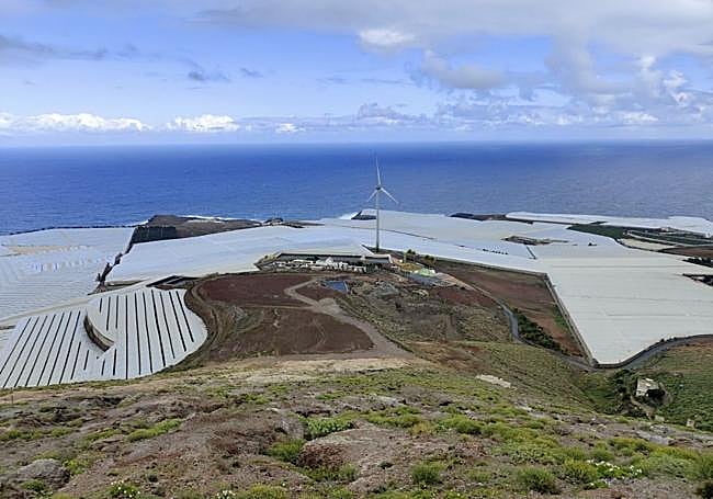 Otra vista de la ubicación elegida por Conagrican para la planta de biogás.