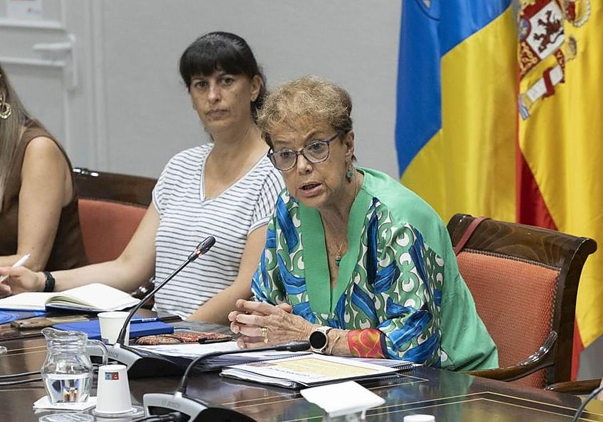 Natalia Álvarez, presidenta del Consejo Escolar de Canarias (CEC).