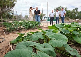La consejera Nuria Cabrera y Antonio Ojeda, del SCE, entre otros, en el vivero de la estación biológica de La Oliva.