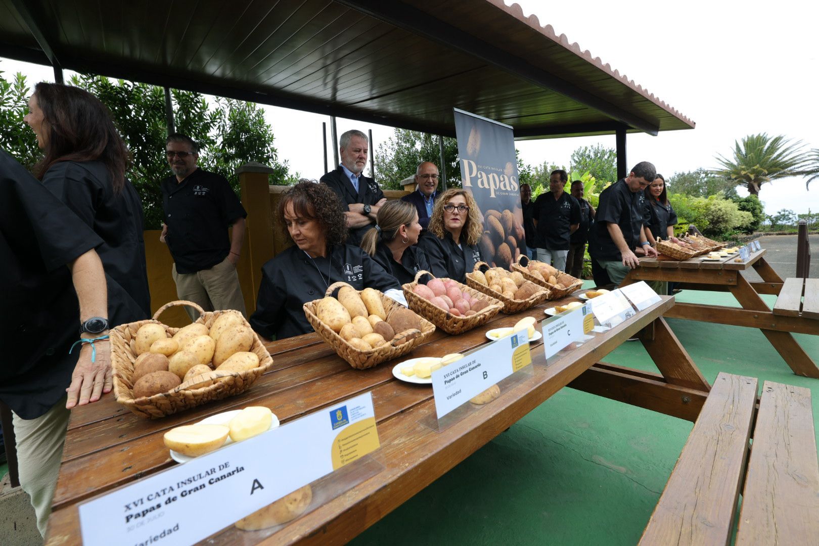 Así fue la XVI Cata Insular de Papas de Gran Canaria