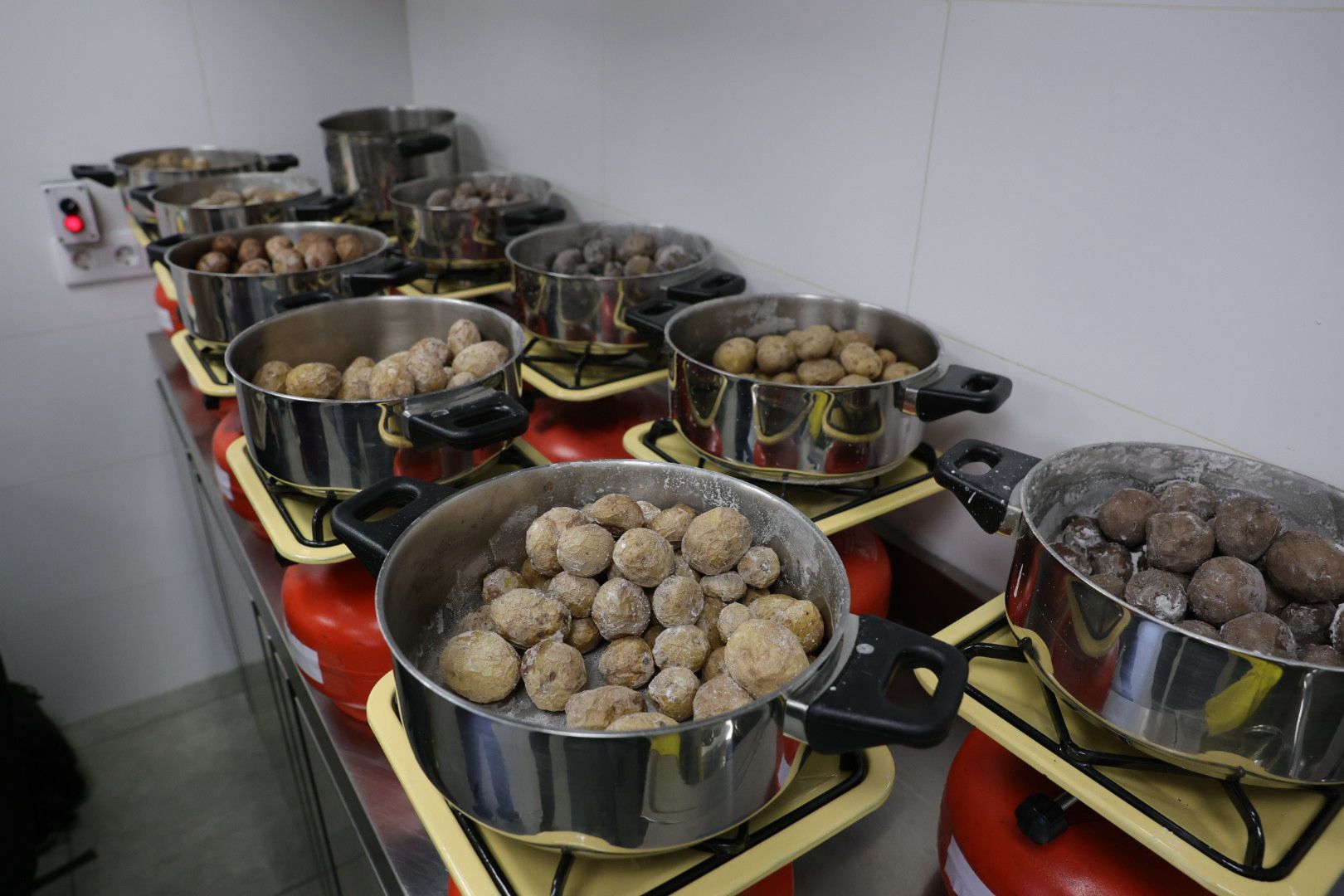 Así fue la XVI Cata Insular de Papas de Gran Canaria