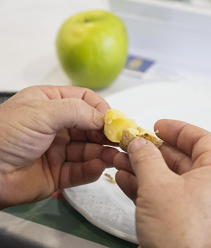 Imagen secundaria 2 - Así fue la XVI Cata Insular de Papas de Gran Canaria.
