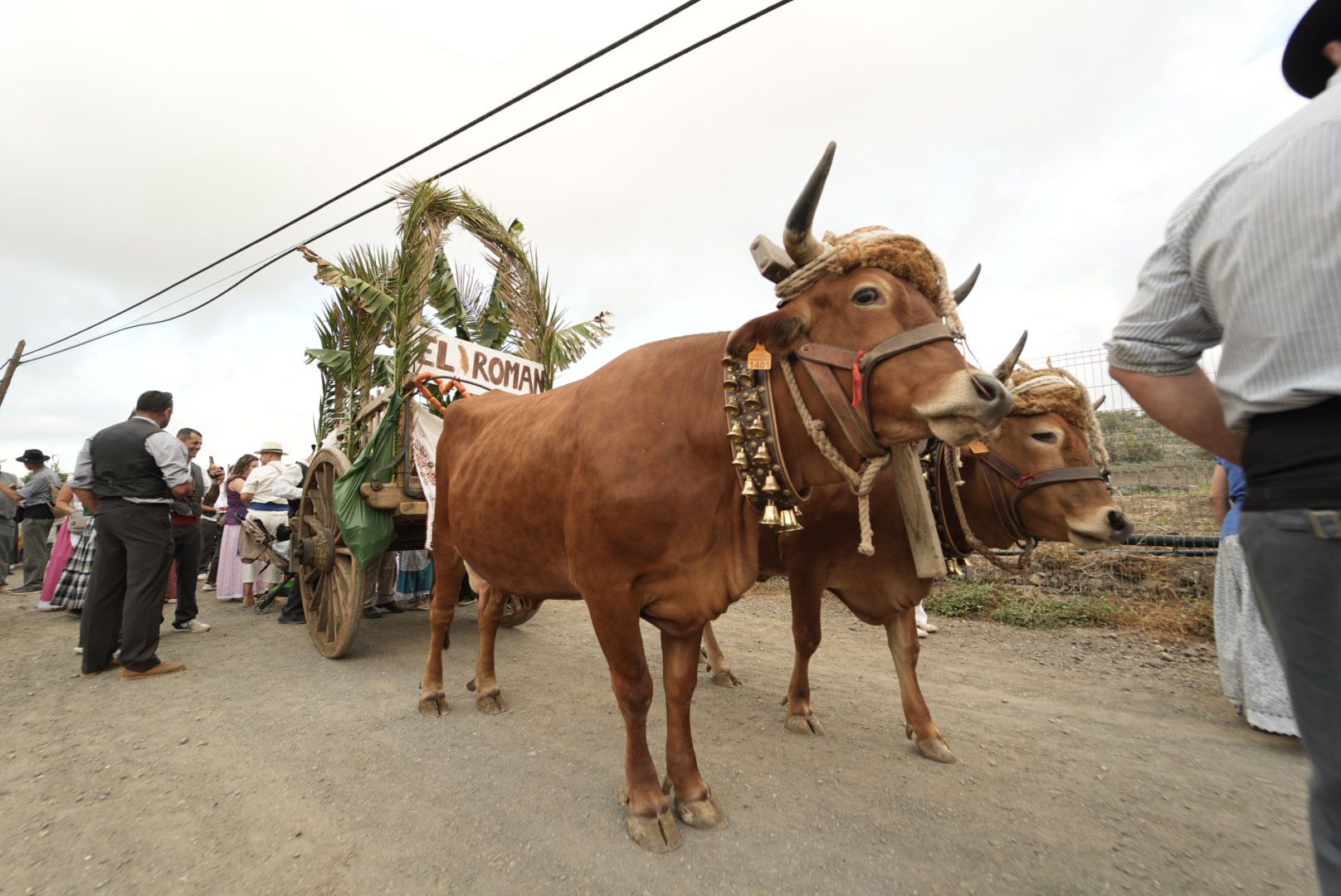 Carretes y romeros por el Camino Viejo de San Lorenzo