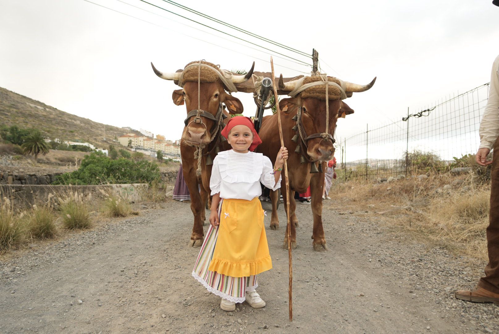 Carretes y romeros por el Camino Viejo de San Lorenzo
