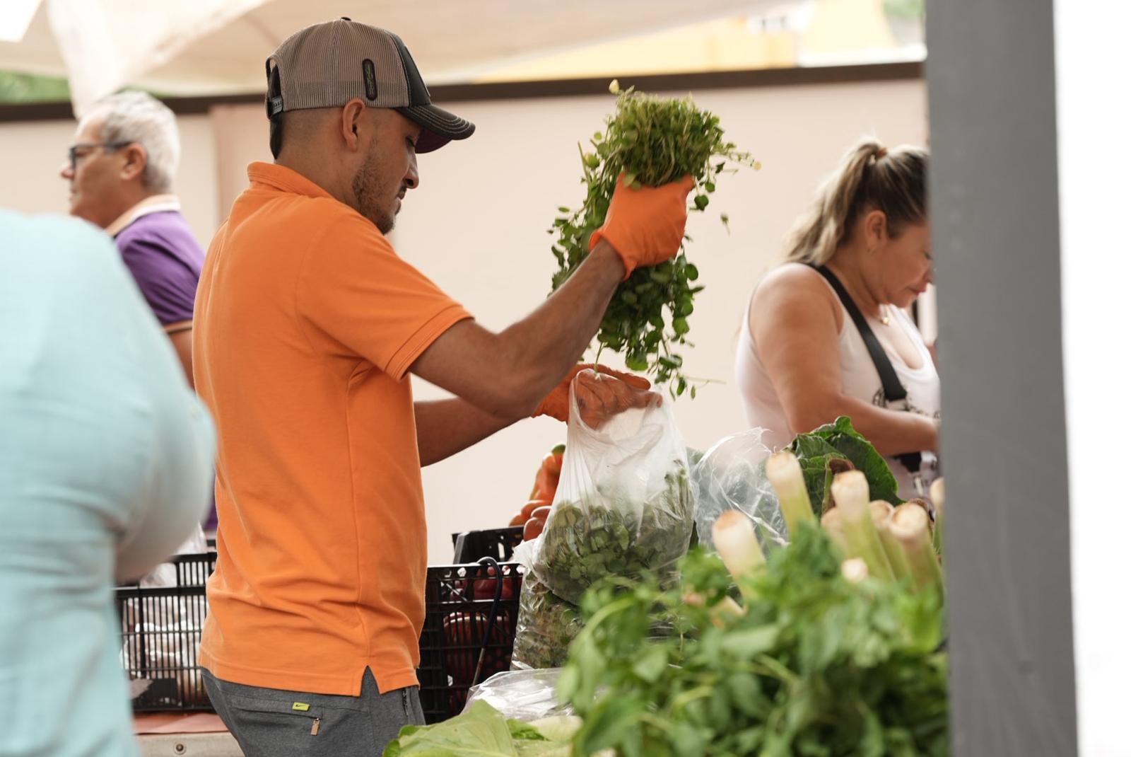 Mercado agrícola y muestra de artesanía Tasate con motivo de las fiestas de San Lorenzo