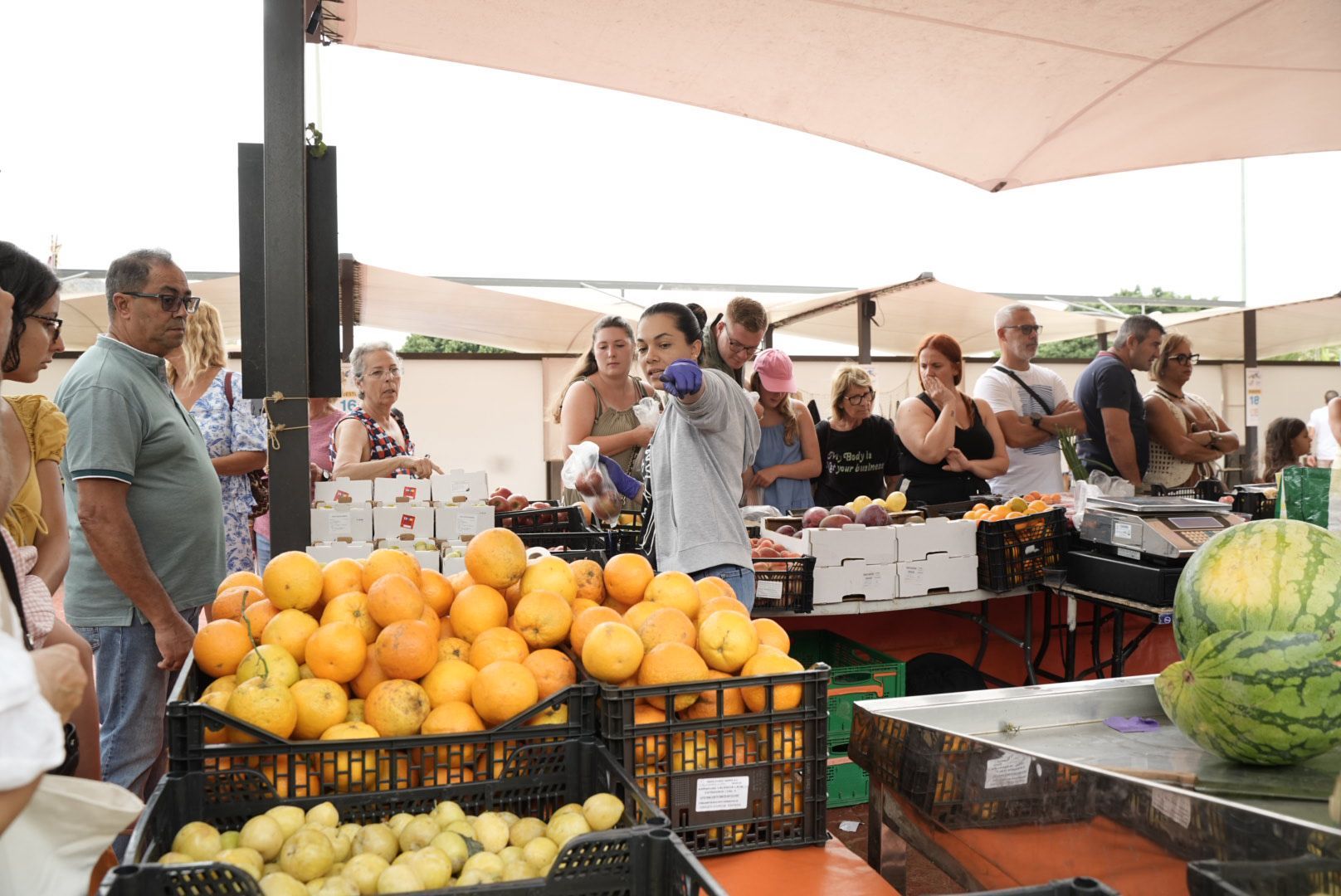 Mercado agrícola y muestra de artesanía Tasate con motivo de las fiestas de San Lorenzo