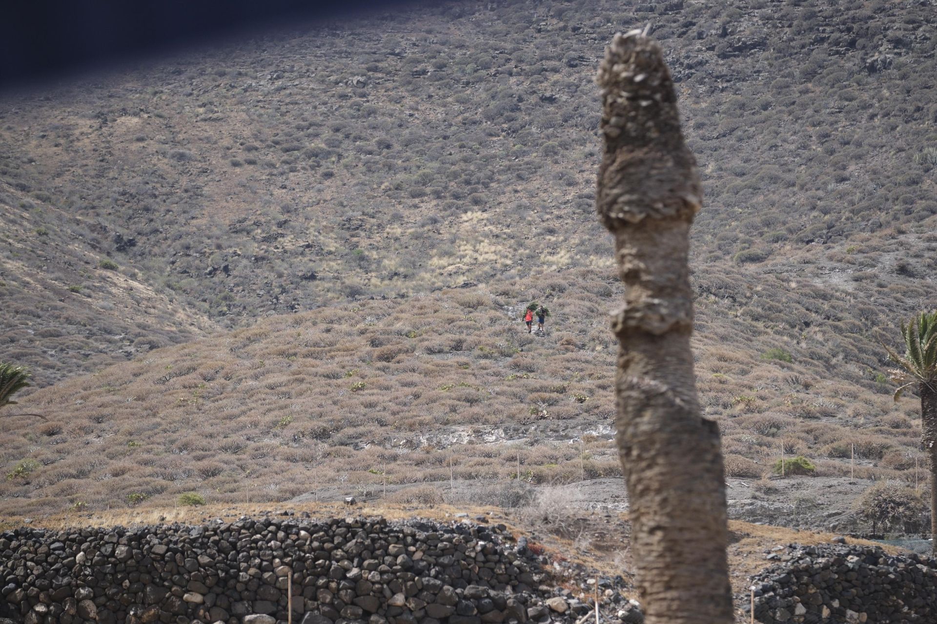 Las mejores imágenes de La Rama 2025