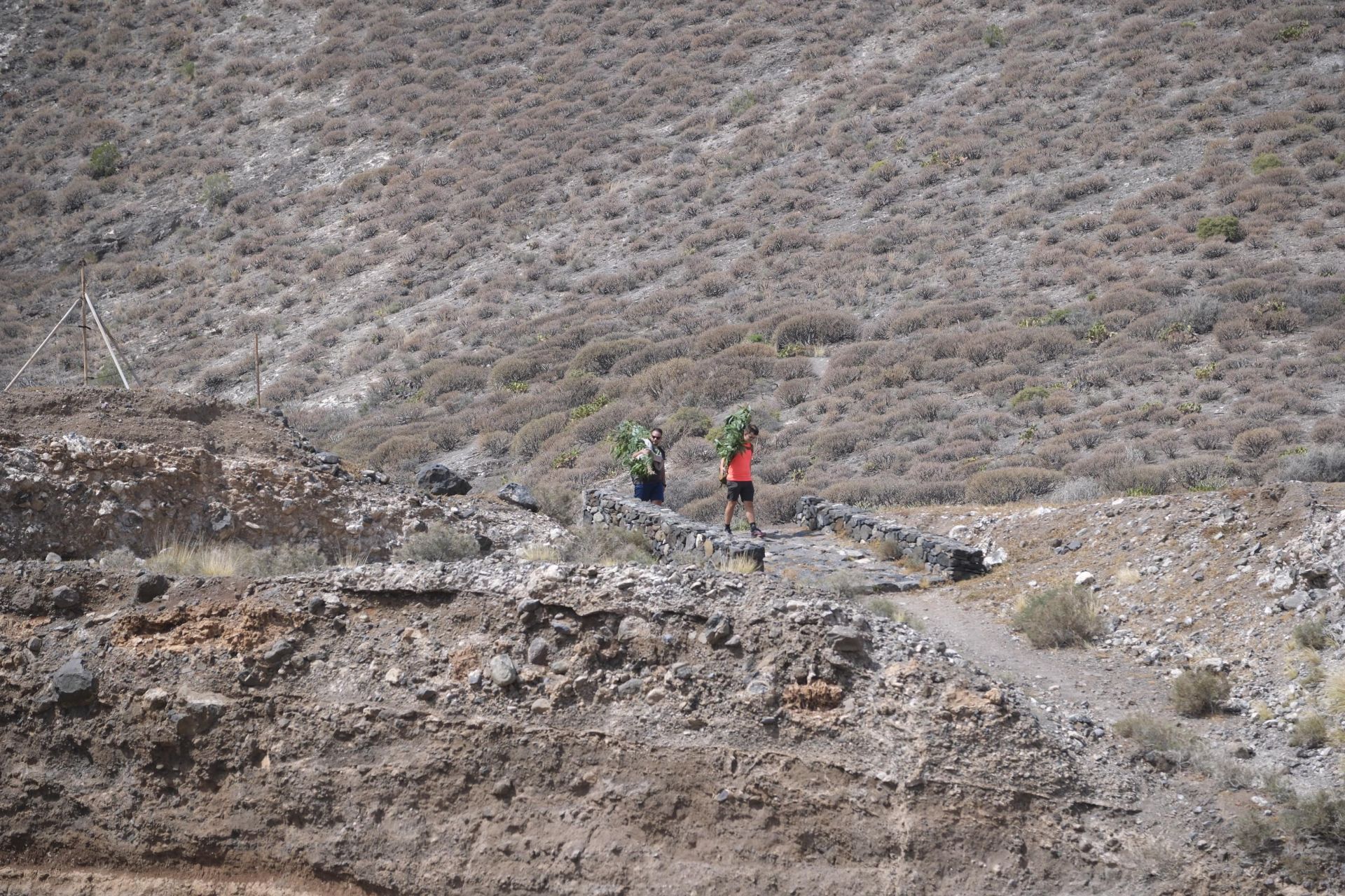 Las mejores imágenes de La Rama 2025