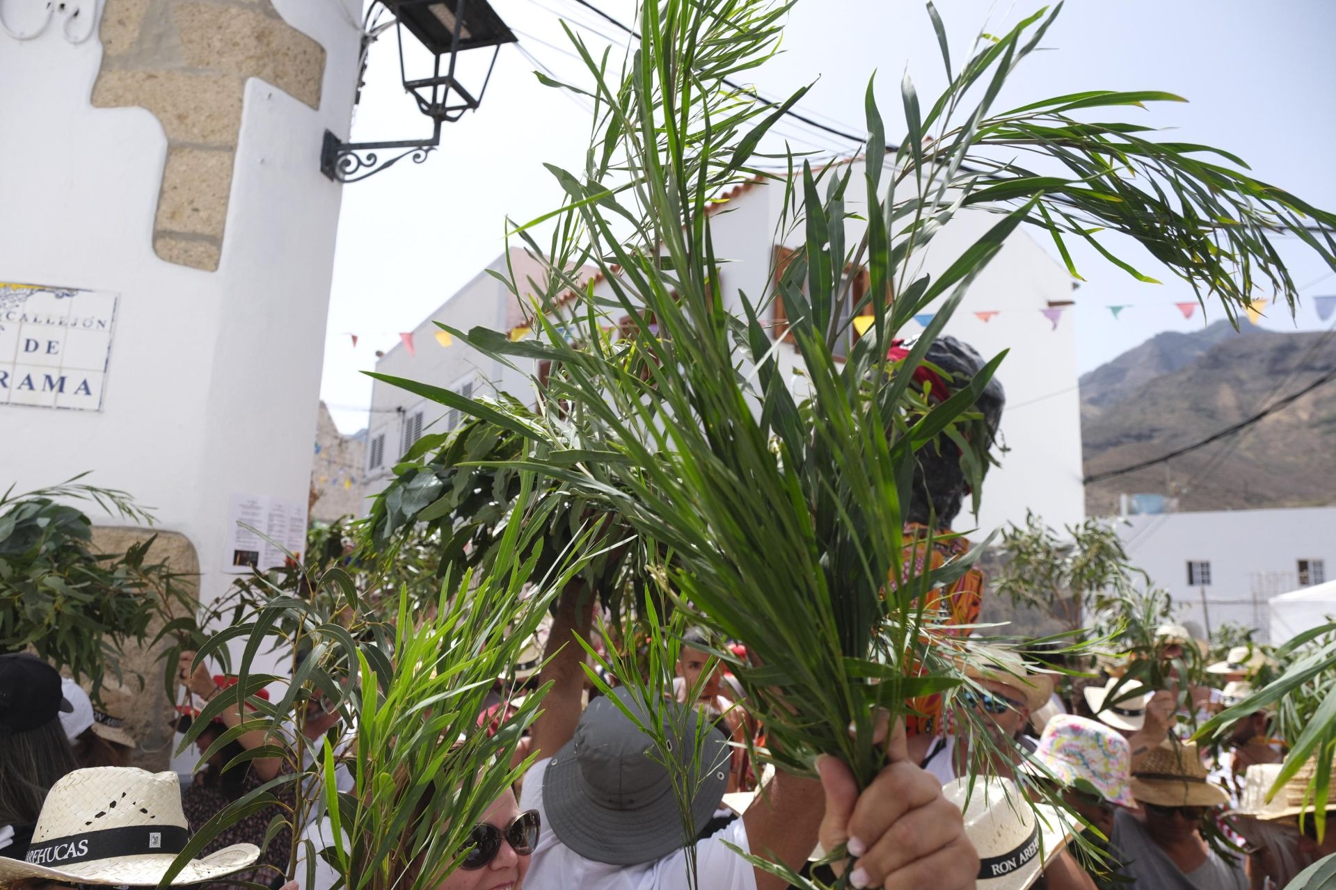 Las mejores imágenes de La Rama 2025