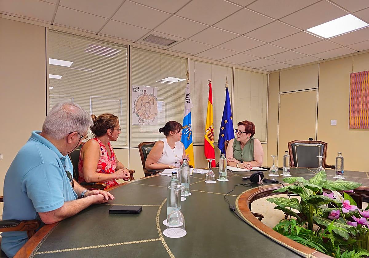 Candelaria Delgado, consejera de Bienestar Social (la primera por la derecha), con representantes del Colegio Oficial de Trabajo Social de Santa Cruz de Tenerife.