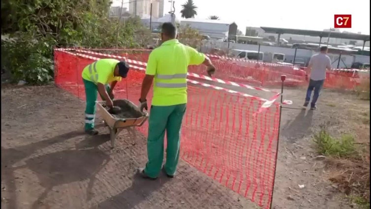 El Ayuntamiento de Las Palmas de Gran Canaria actúa contra las ratas en  La Paterna