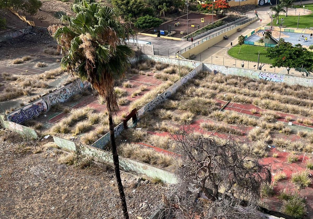 Imagen principal - Los vecinos también denuncian la presencia de gatos y roedores en las antiguas canchas de tenis, así como de gallos en el parque.