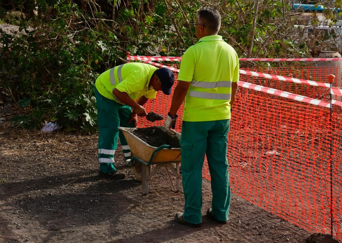 Imagen secundaria 1 - Los vecinos también denuncian la presencia de gatos y roedores en las antiguas canchas de tenis, así como de gallos en el parque.