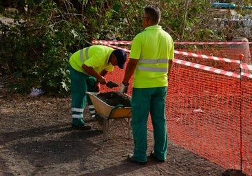 Contra las ratas de La Paterna: Salud Pública tapa las madrigueras e intensifica la desratización
