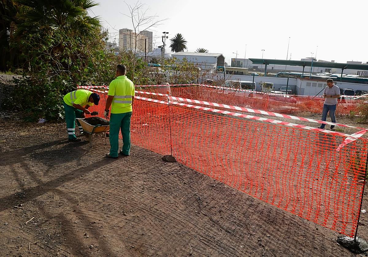 Inicio de la actuación de control de plagas por parte del Ayuntamiento de Las Palmas de Gran Canaria en el solar de La Paterna con el sellado de madrigueras.