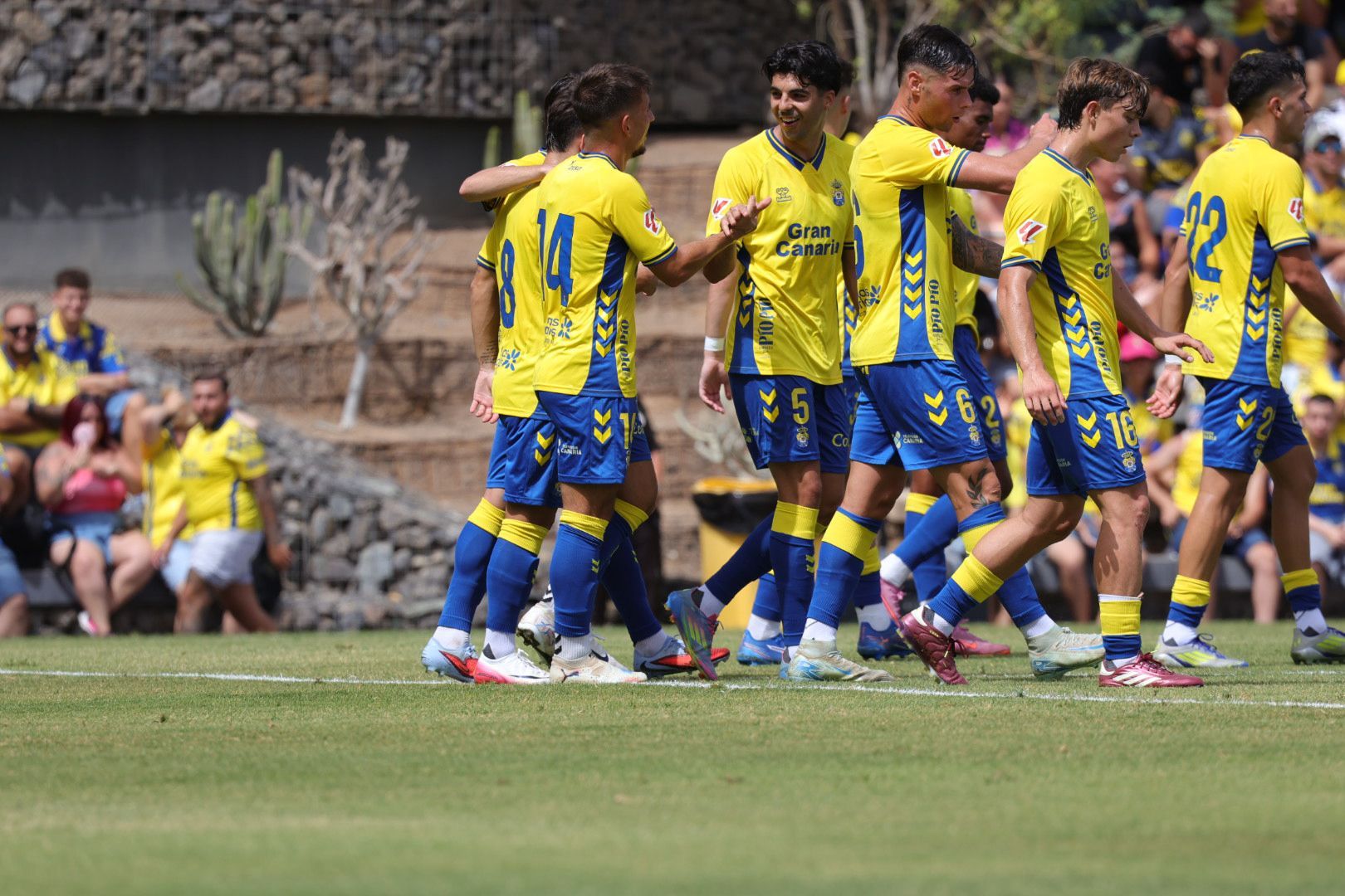 Pasión y rivalidad en el derbi canario: UD Las Palmas - CD Tenerife