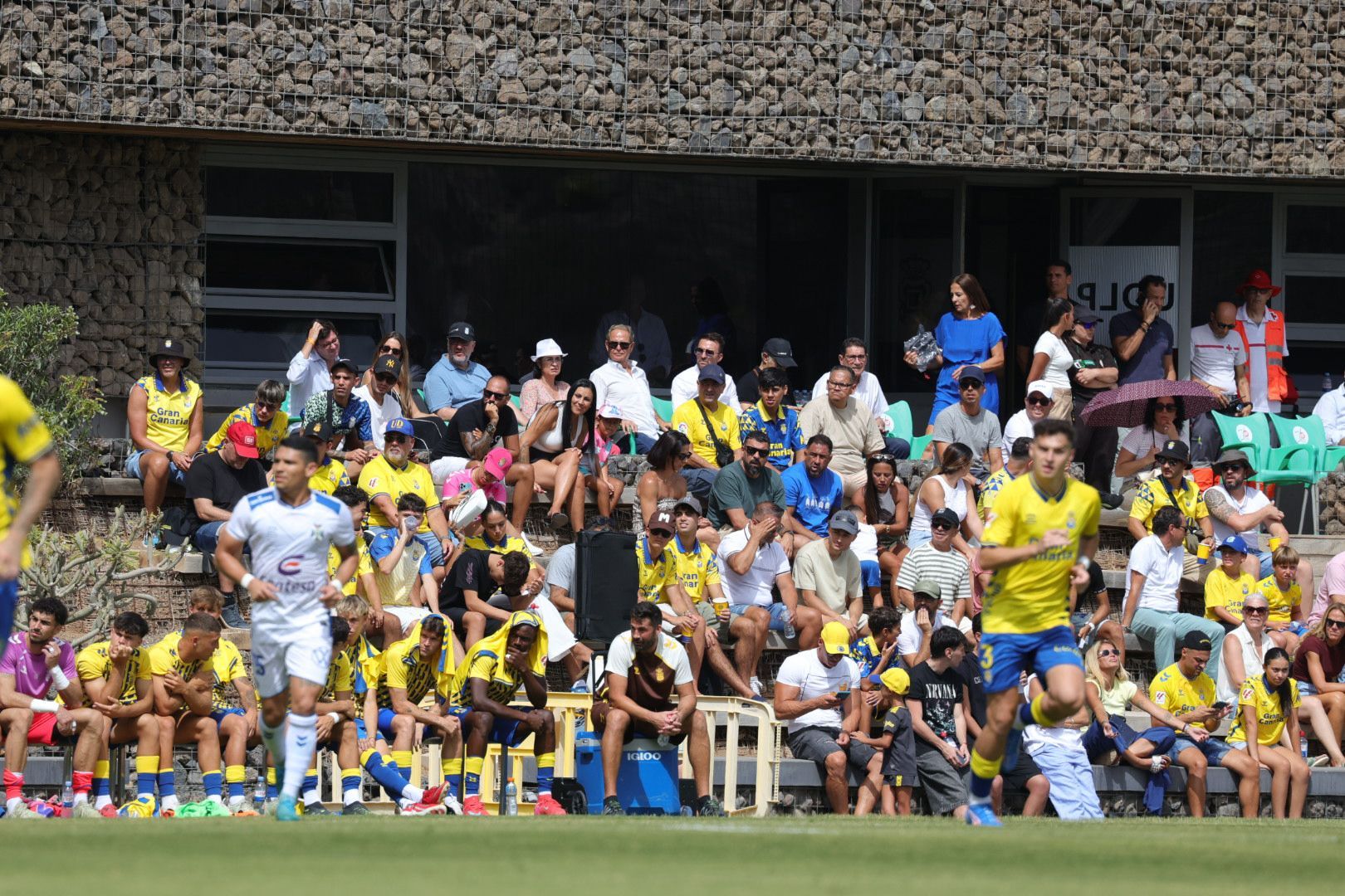Pasión y rivalidad en el derbi canario: UD Las Palmas - CD Tenerife